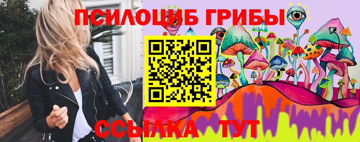 Галлюциногенные грибы Cubensis Острогожск